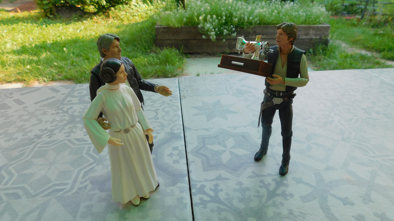 Дачно-Харлинский июнь-июль 2024 078