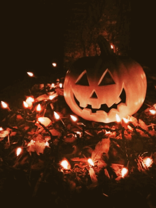 [Image: tumblr-29927054137b9b69e17b362634401cf6-...45-540.gif]