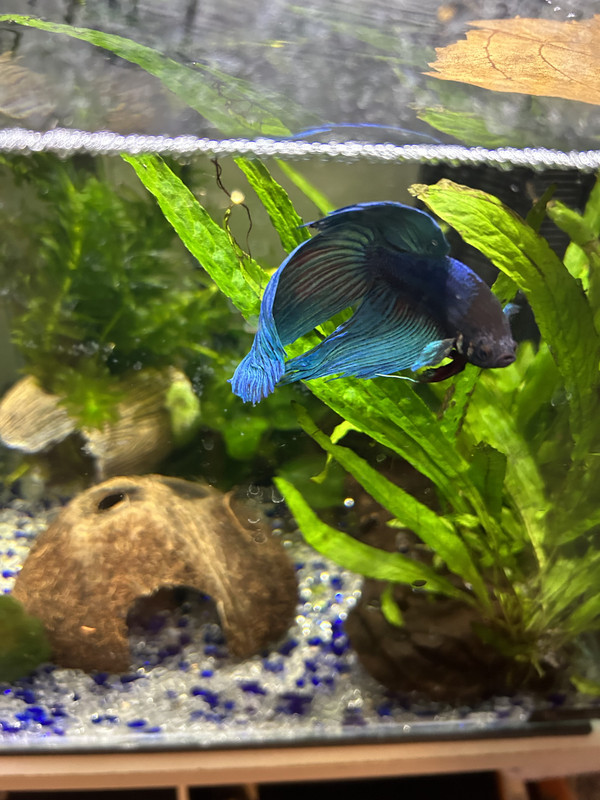 11E973D1-3025-4190-A13F-CB1370DBB5A7