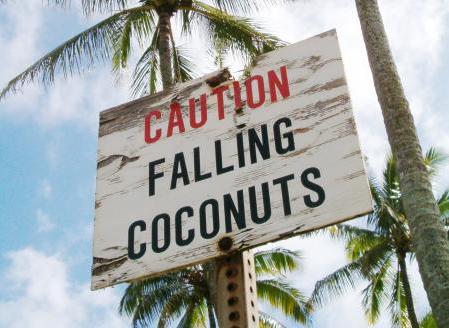 http://great-hikes.com/blog/images/FallingCoconuts.jpg