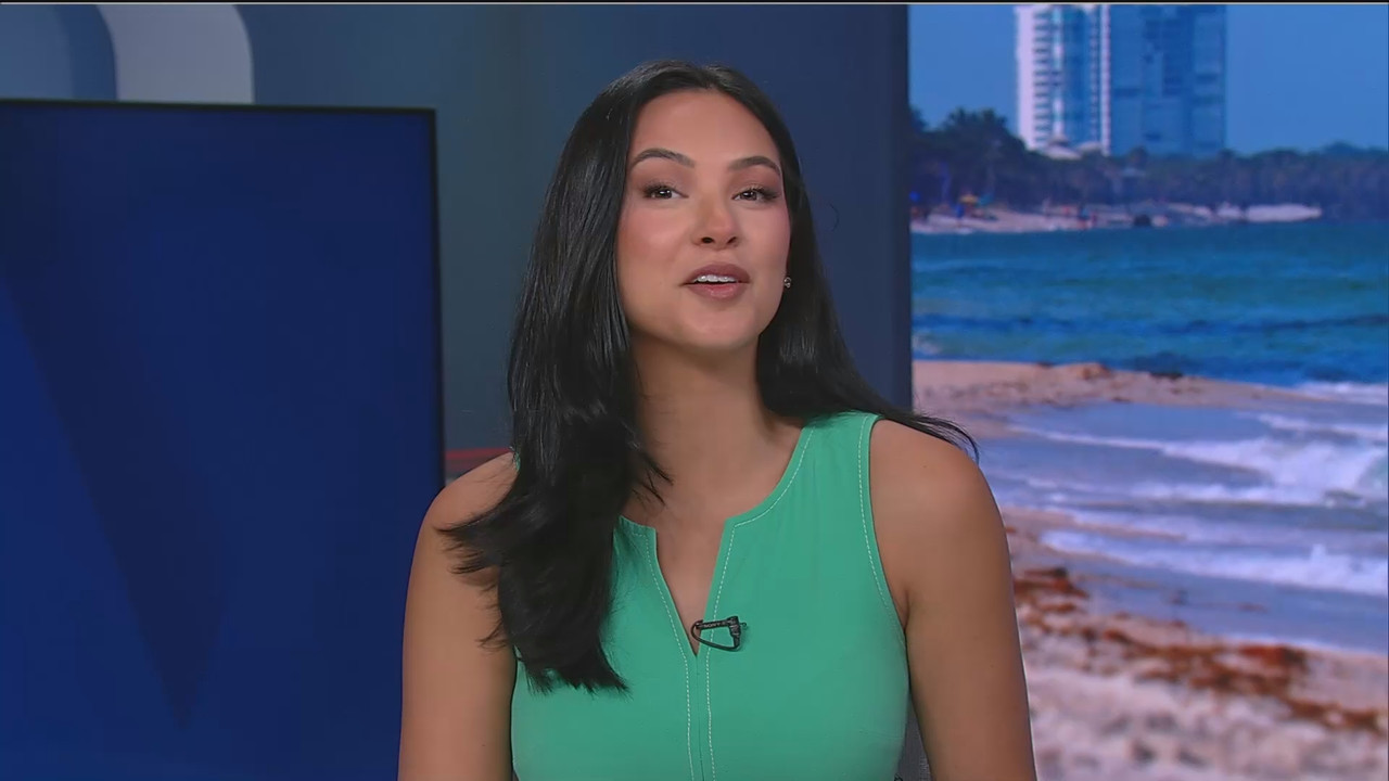 07.02 - 17.00.00 - The WINK Noon News  ᴺᵉʷ. Midday news update..ts_snapshot_26.55.484