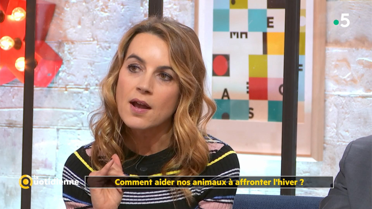 08 January - 10.45.00 - La quotidienne. Consommation solidaire e