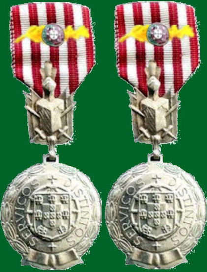 Medalha-de-Prata-de-Servi-os-Distintos-com-palma-350