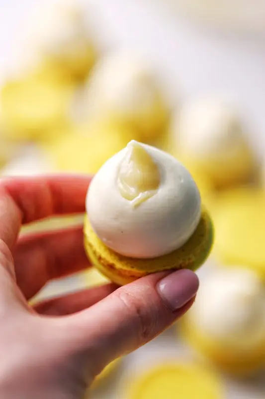 База взбитых ганашей. 30 авторских начинок для макарон (Александра Шинкаренко)