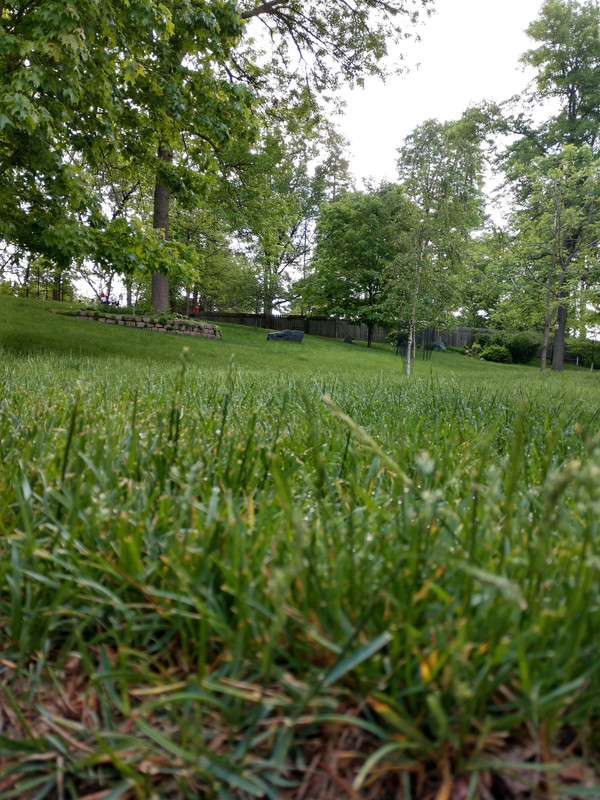 mow