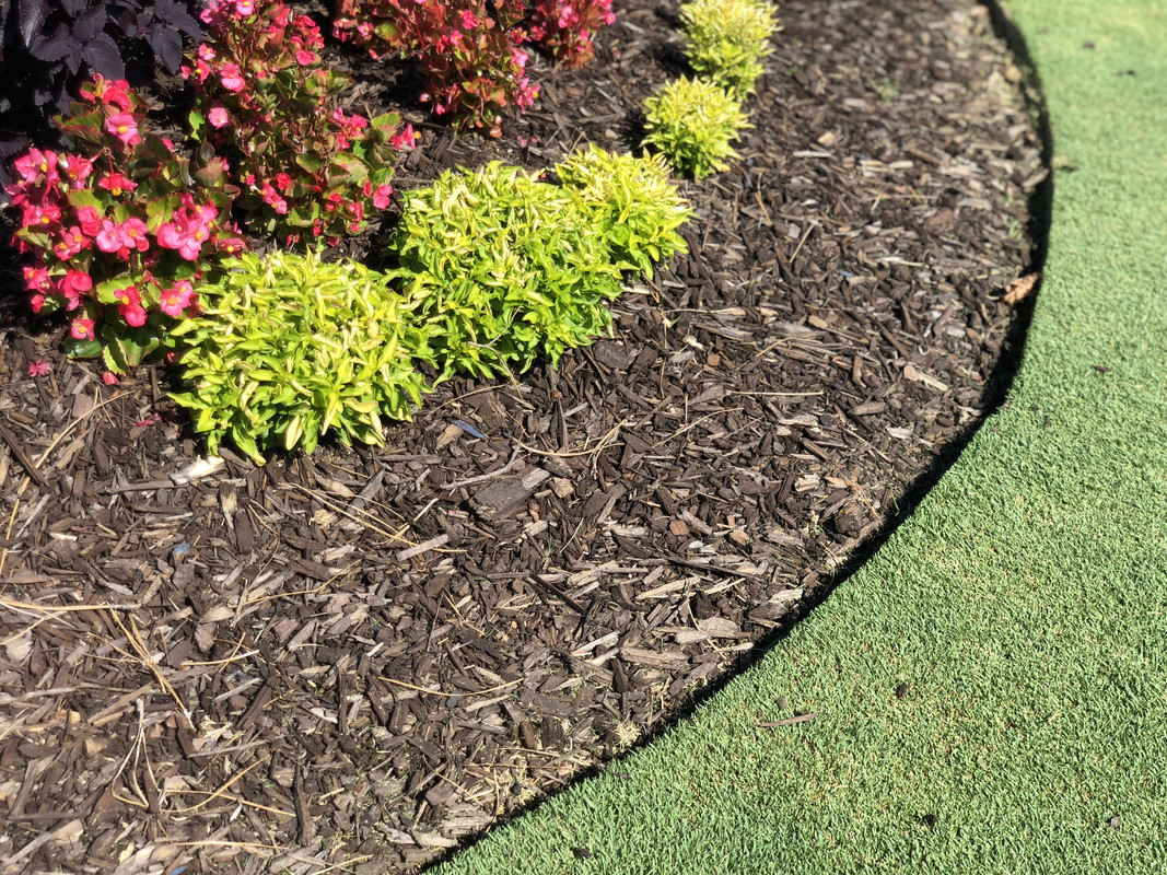 852939B3-E3D6-4F42-BC5B-1A5D8B6C33D3