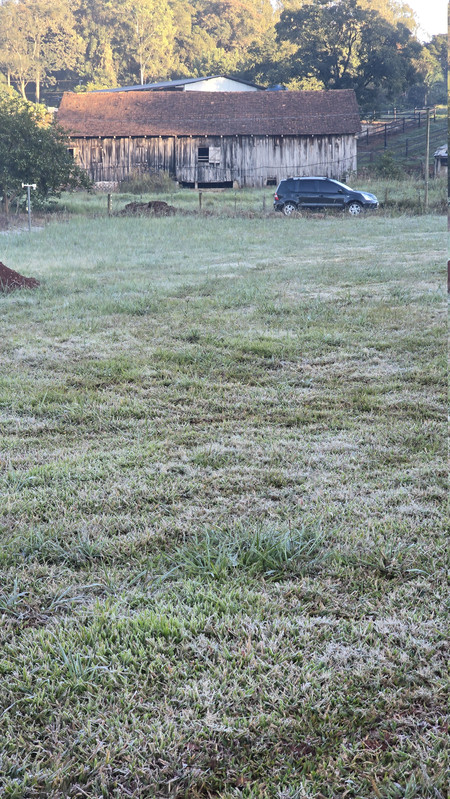 20260520-074446.jpg