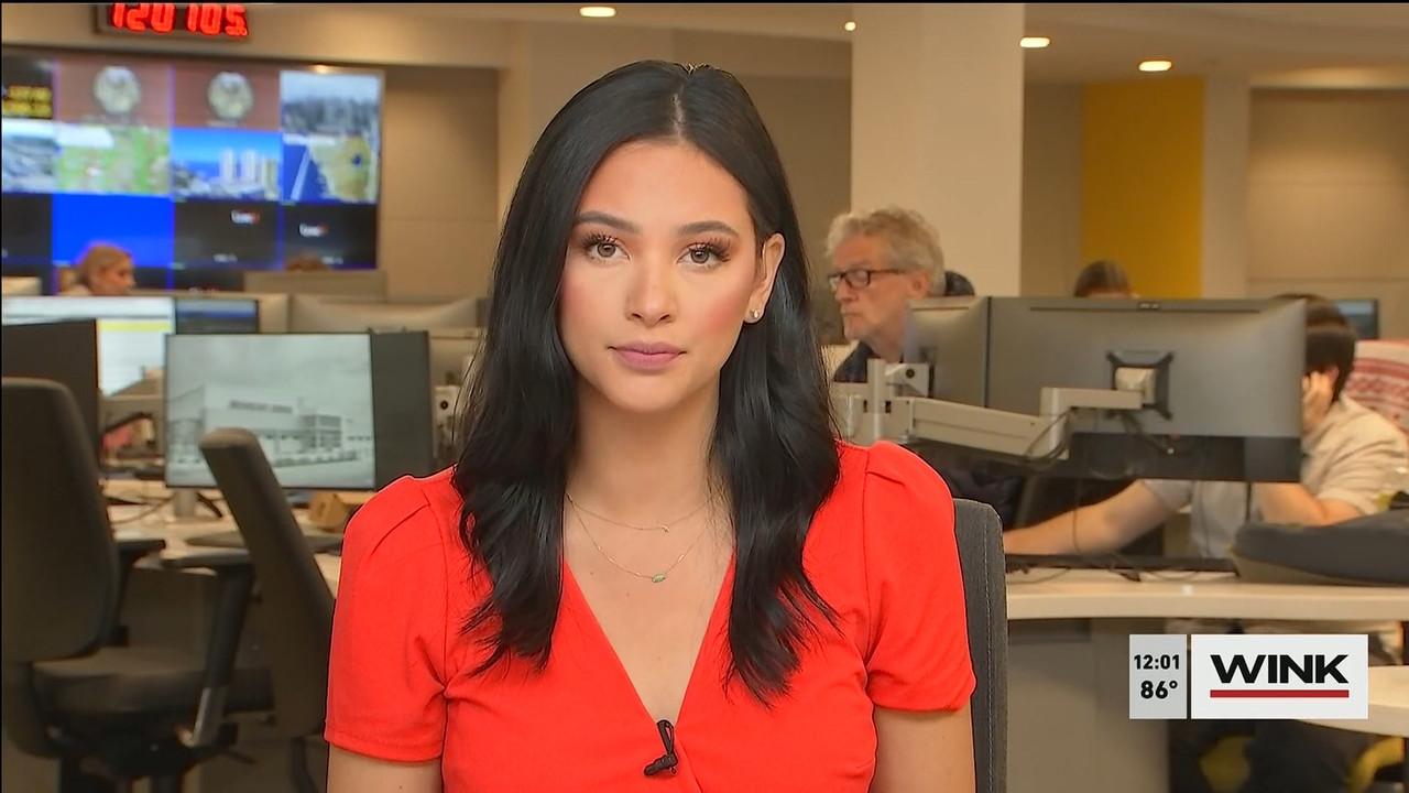 11.01 - 16.00.00 - The WINK Noon News  ᴺᵉʷ. Midday news update..ts_snapshot_07.10.844