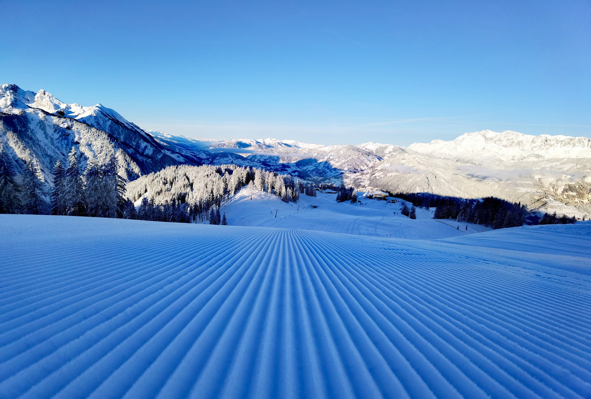 IMG_20220107_085158_edit_446739447907353