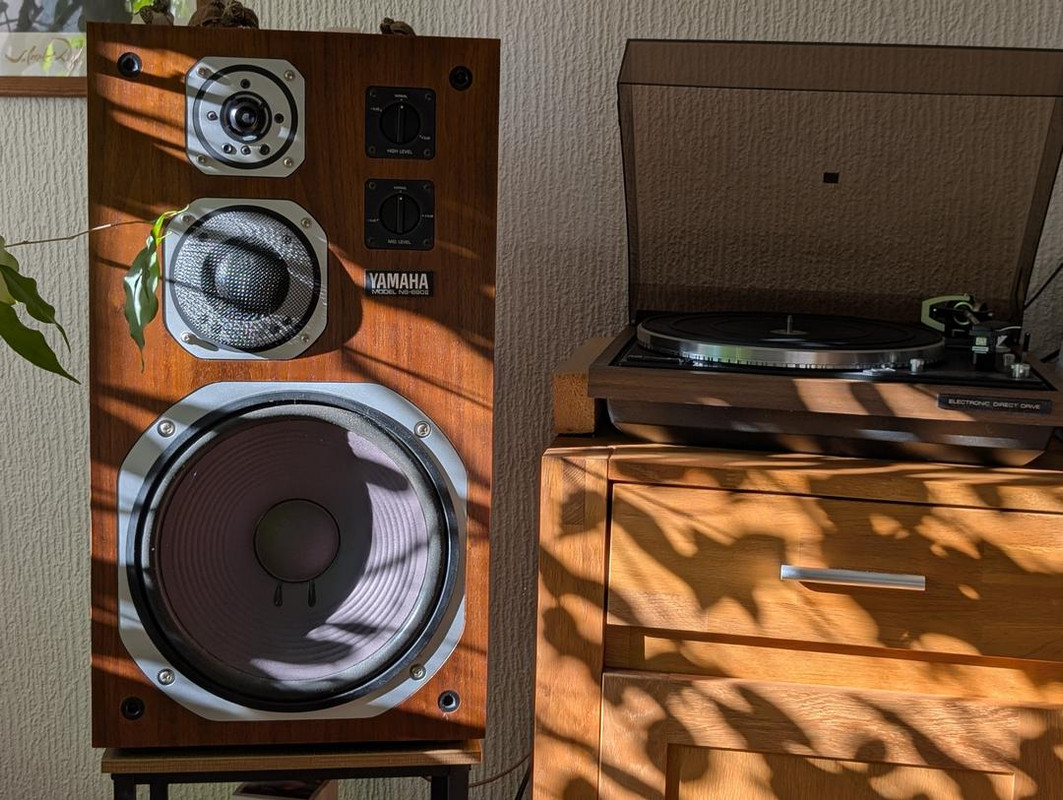 [Bild: PXL-20251106-101100146-2.jpg]