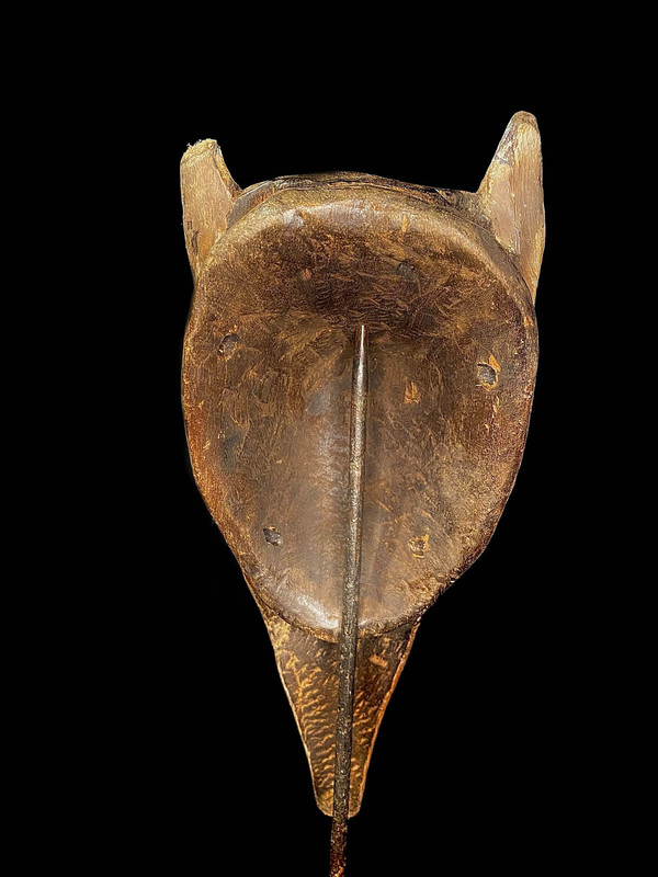 large image 11