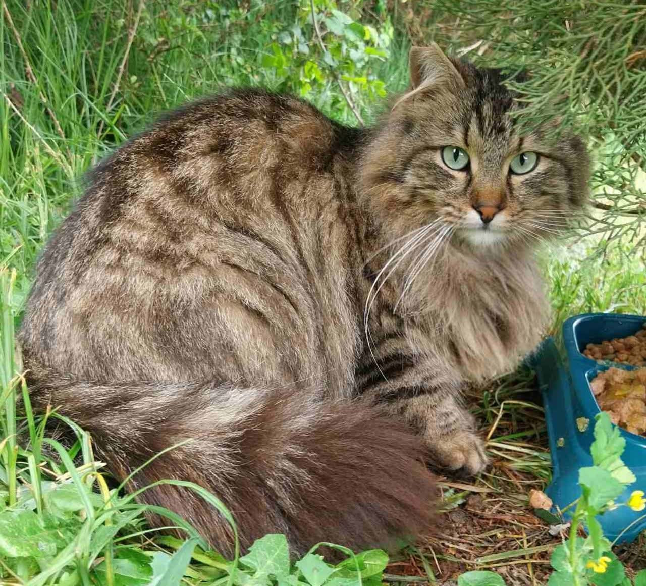 FB IMG 1776345359496