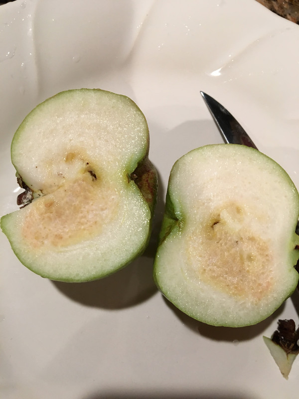 6BD328BA-F1EA-4AA1-94B2-06C9E05AB149