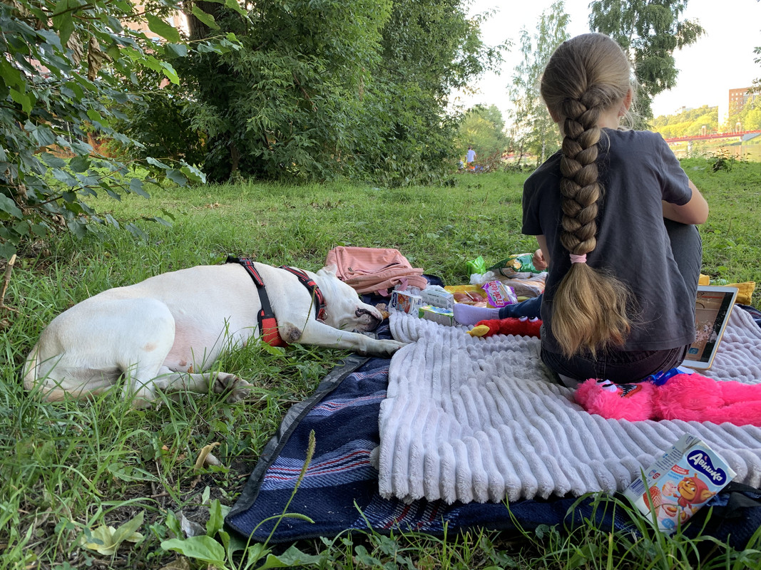 12FD3DA7-D7F8-49C3-BCF9-C97CF2DC2F06