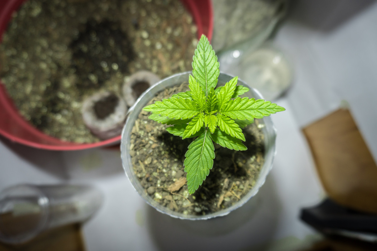 seguimientoindoor1.01 (9 de 13)