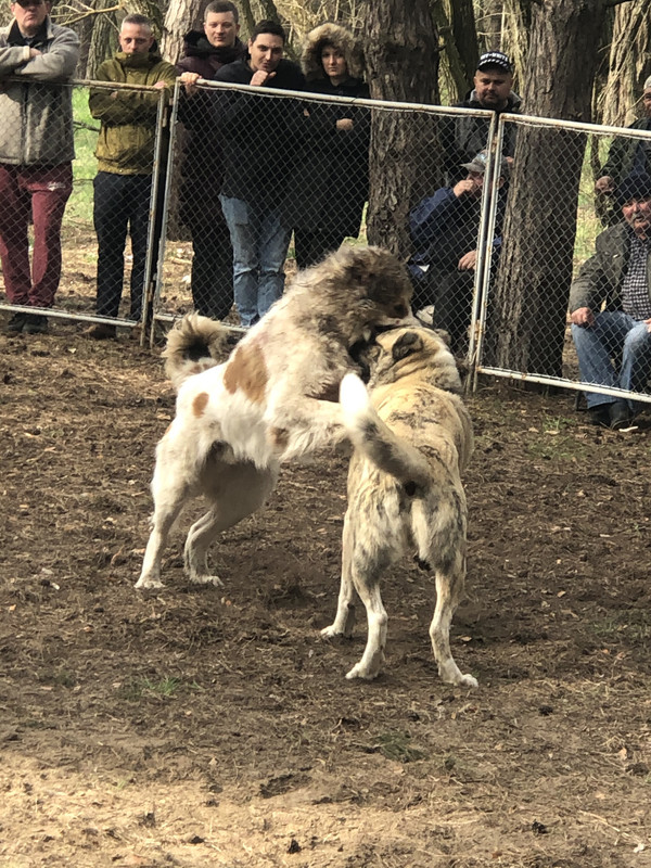 3E2106AA-720F-4396-B52C-9A235930A7BF