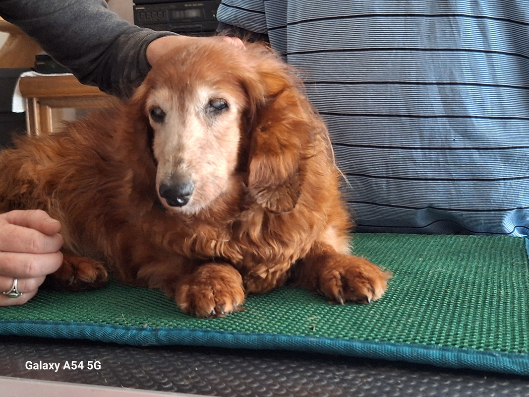 [Image: 20240703-170408.jpg]