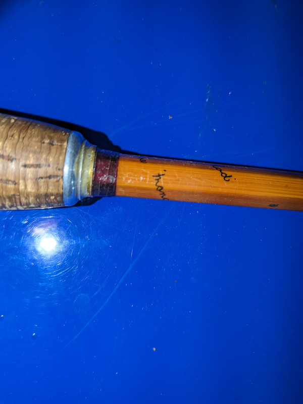 PXL_20231106_151150443