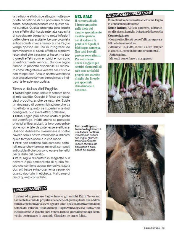 Il Mio Cav (Lug-Ago 2023) 12