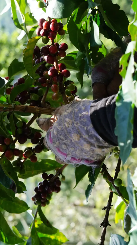 e79564bfa8efdd65a5fe4535bc7cdd84