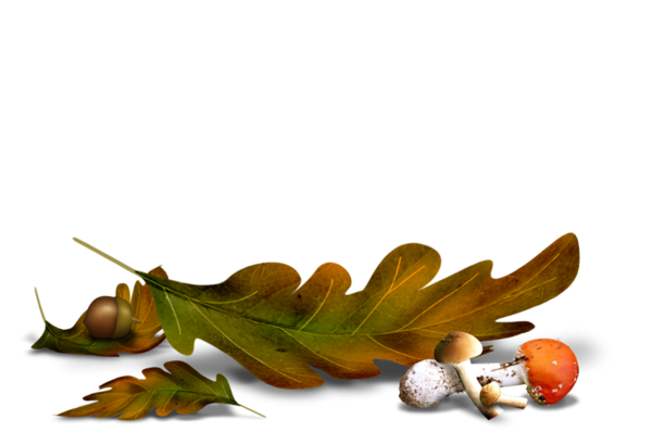 TADD_elements_ShimmerFall (31)