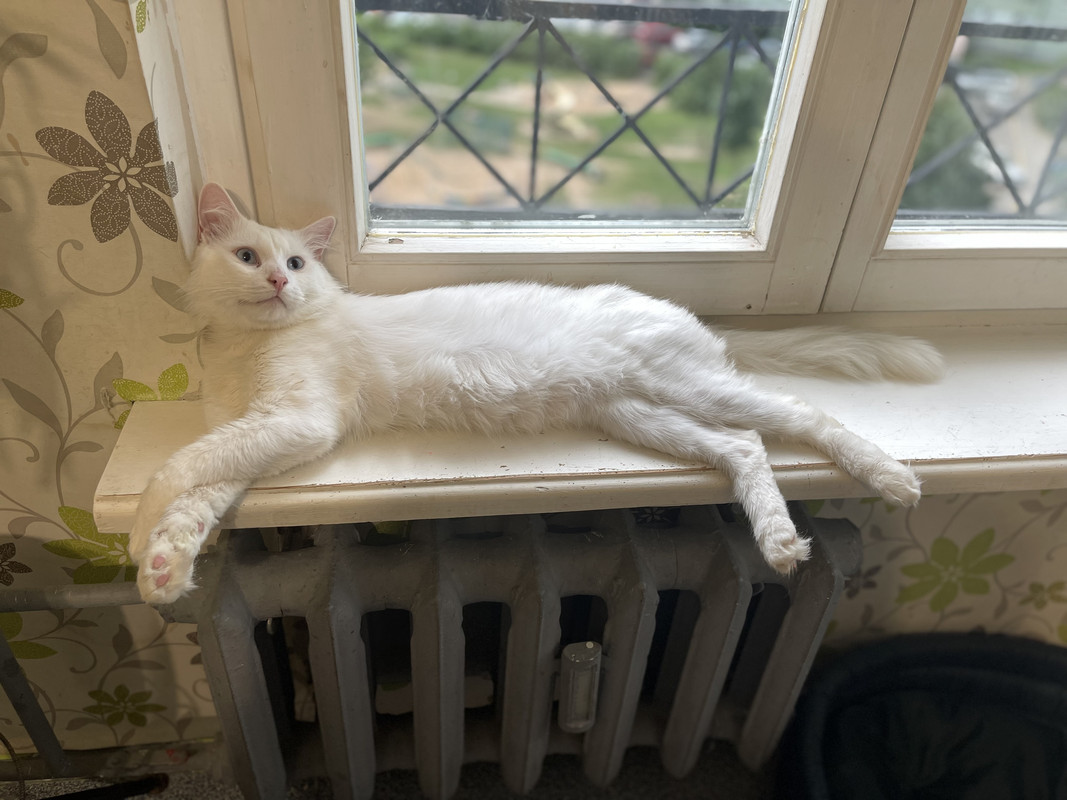 742AFB10-5C0F-45B3-88D7-91D2C983A2DE