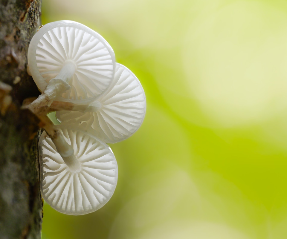 2025-10-05 12-29-12 (A,R4,S3)-2