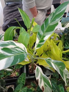 viber_image_2023-12-19_12-23-01-186