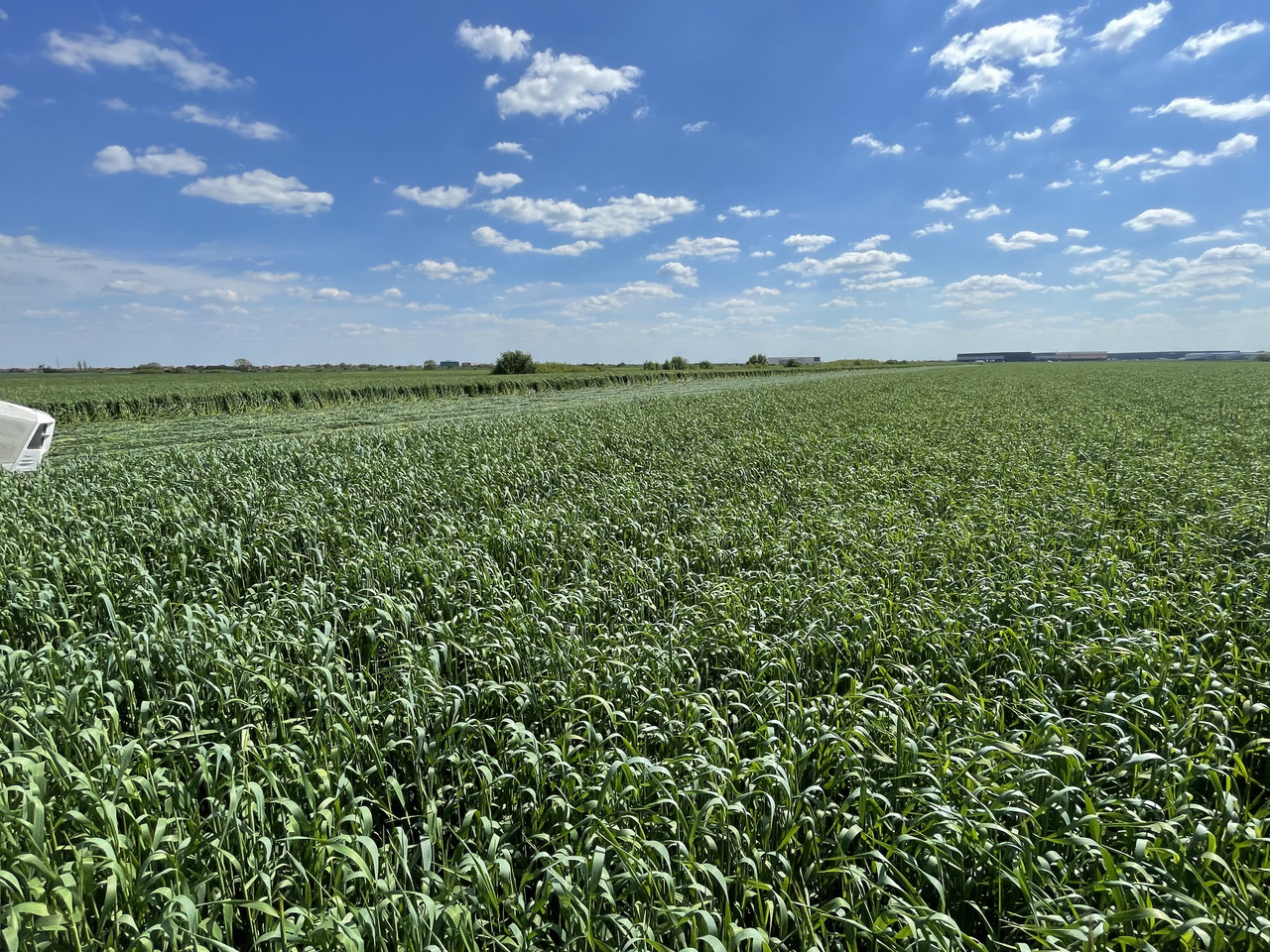 BA4808A6 FCF9 48E5 B182 84032ABECDC1