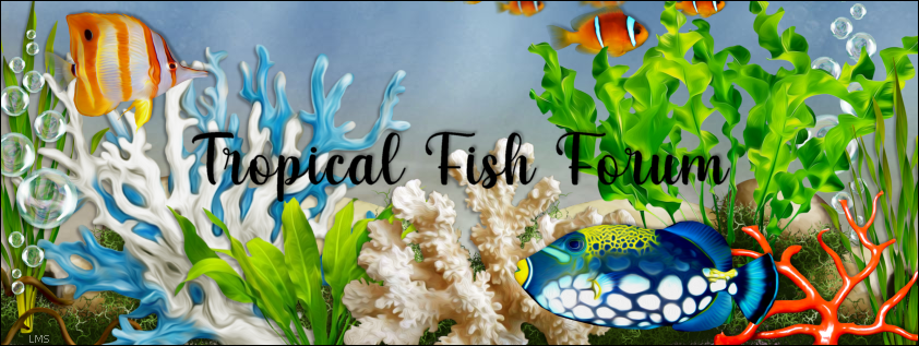 Tropical Fish forum