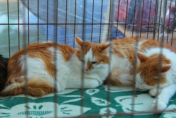 10C94BBD-5802-4FA0-863C-D779C3BDFBFD