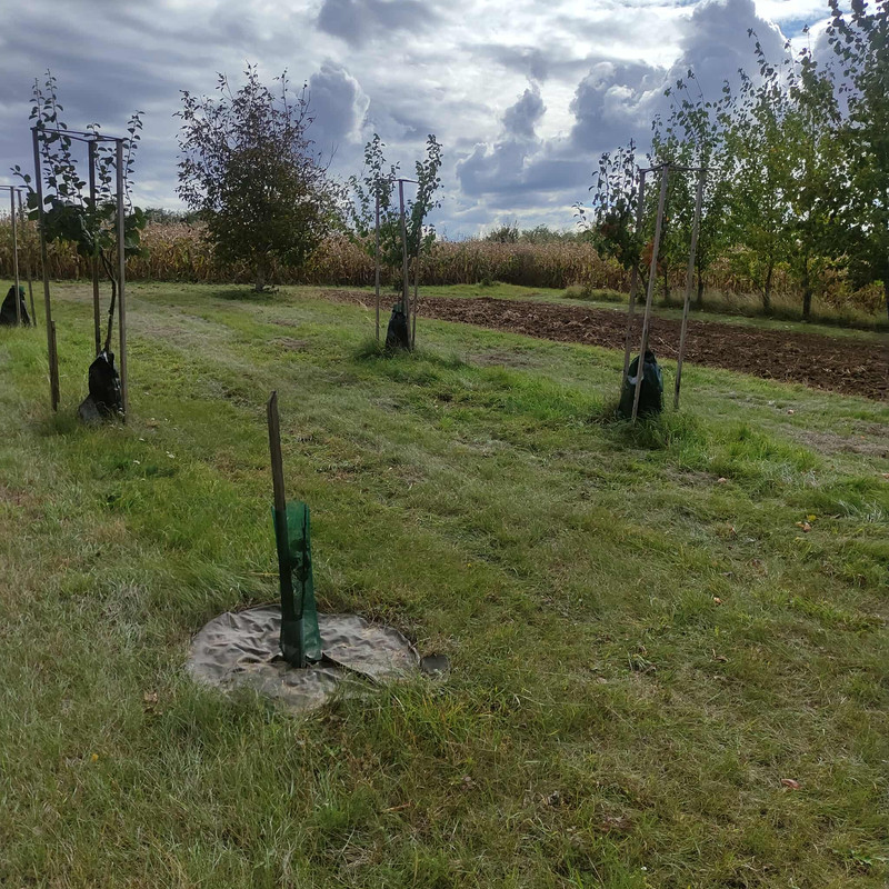 563294636_1162724659050474_276649681709571396_n