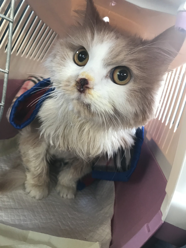 9D4425A4-F5BE-4224-B769-CAACCC422E3F