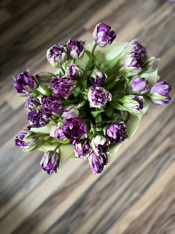 082331A9-2617-4438-BD19-E9A1B6EC64B7