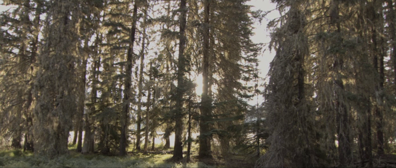 vlcsnap-2023-10-06-13h08m33s077