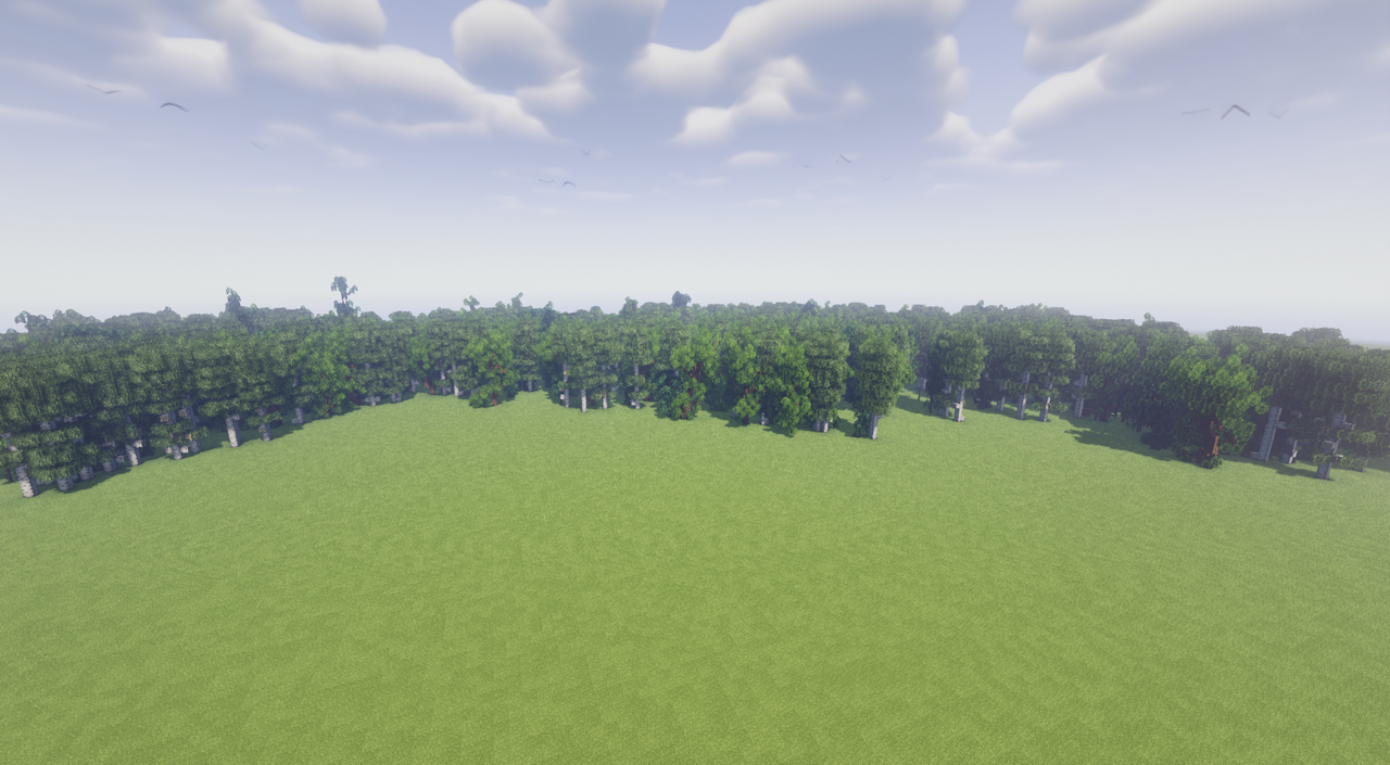 Far Away oak forest