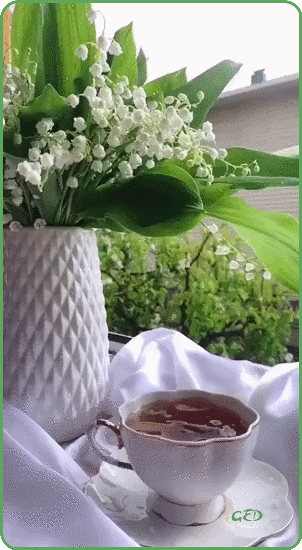 010526-muguet-cafe