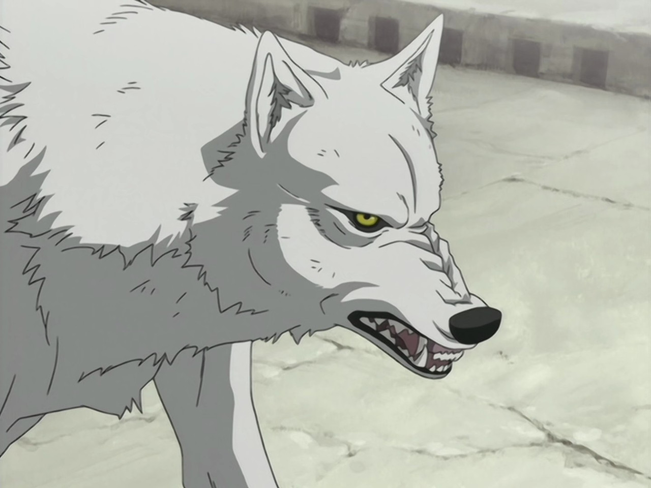 DBD Raws Wolf s Rain 01 1080P BDRip HEVC 10bit FLACx2 o 00 09 22 00001