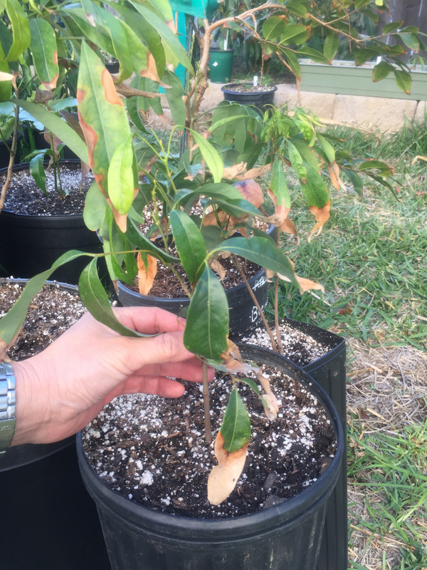 C17AC08A-D59D-4D08-BF51-AD1936A5FD5E