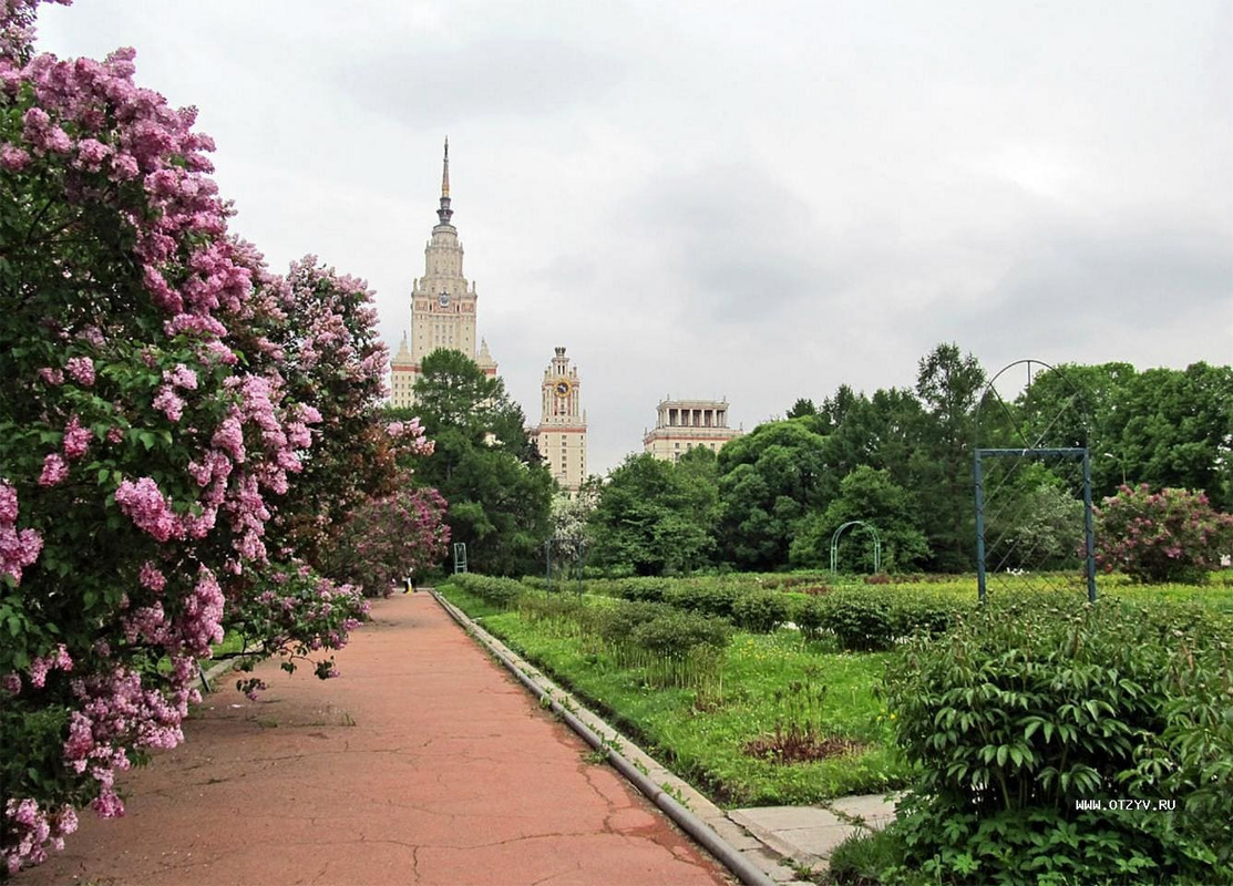 бот сад МГУа