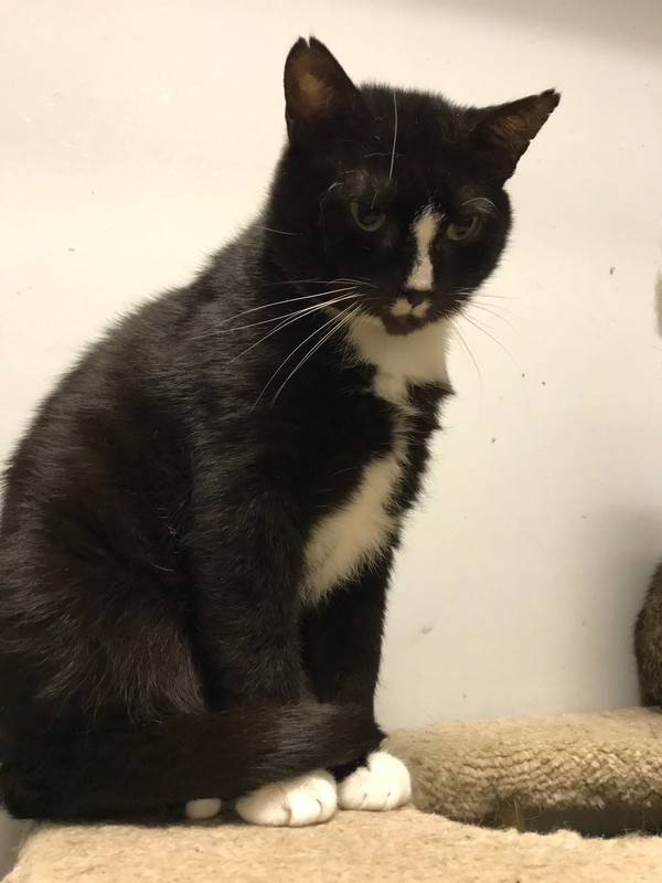 4AD36F5E-8406-47B8-8369-EED8D101ADE3