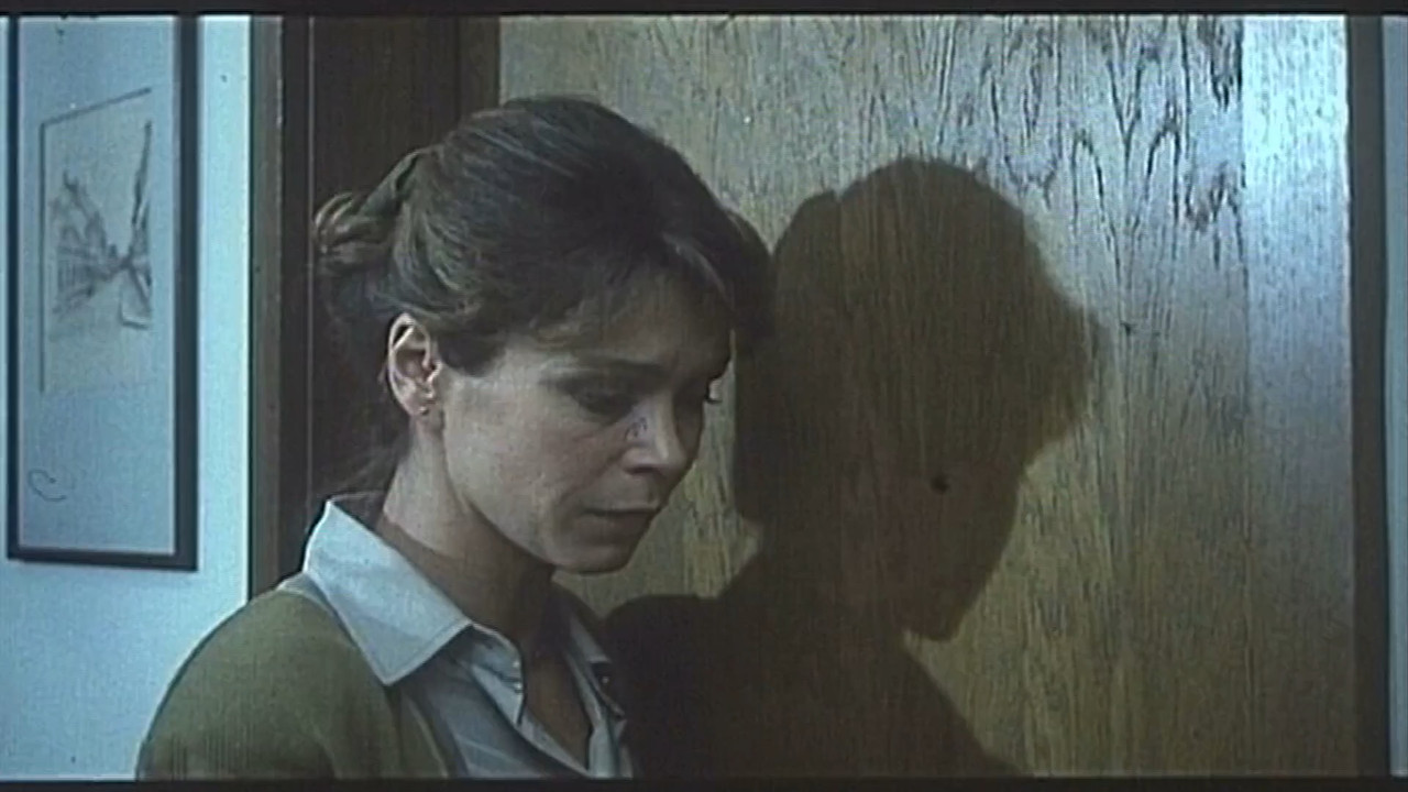 Original falsifikata 1991 HDTV 1080p x264 ExYuSubs