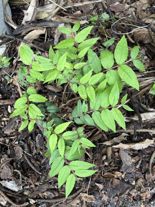 1B7355F5-F947-4D73-A559-66F99A67250D