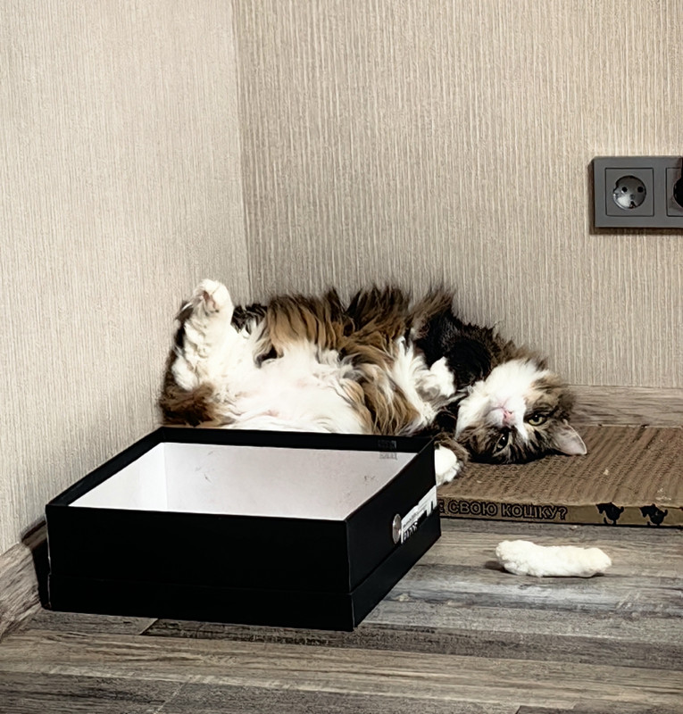 IMG_20250118_233551_edit_88371397781079