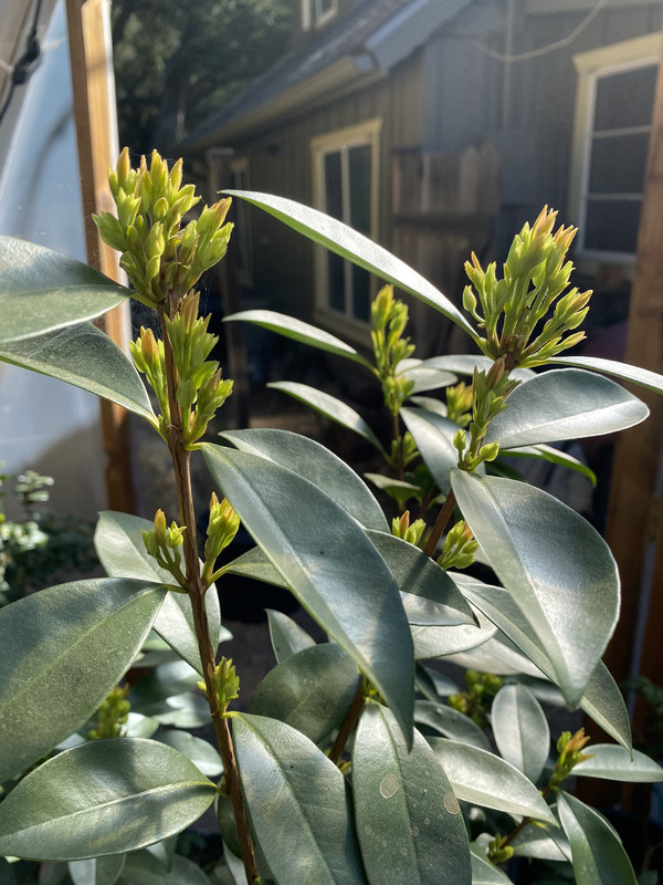 F82C4294-7379-4BA6-BFC5-0B33147ADFA0