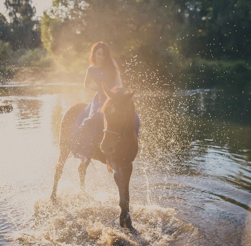 4BF565BB-B86B-42EA-8AD5-A1F03474D5CD