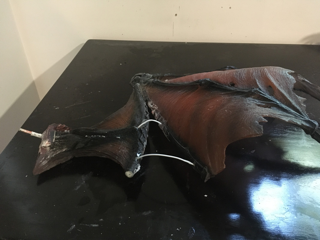 CA756098-42E3-4D18-B2AD-AEE7B910197C