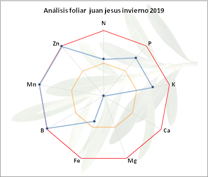 Análisis foliar juan jesus 2019 Sierra Mágina (Jaén) Juan-jesus-2019