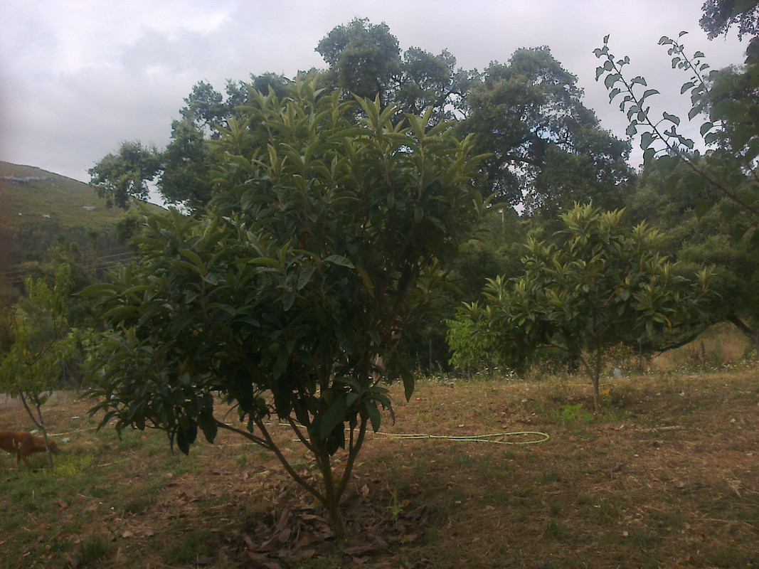foto0146