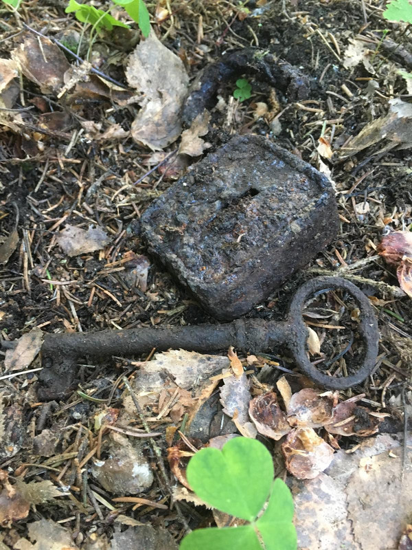 E2F95528-484B-4164-B273-271DDB4DF2C7